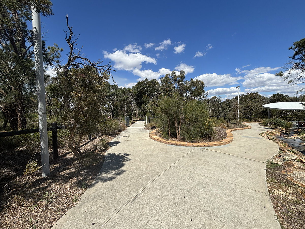 Paths through bush Discovery Park Banksia Grove