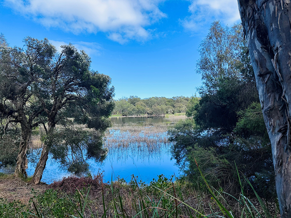 Perry Lakes Eastern Lake