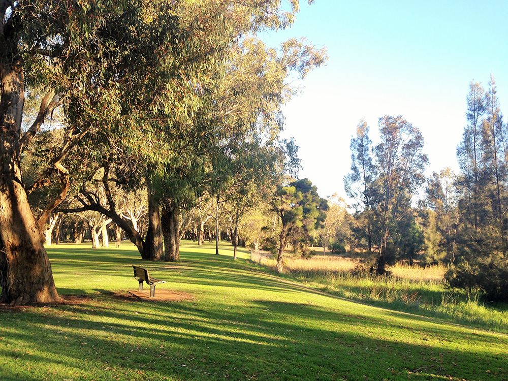Perry Lakes_seating overview