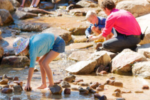 Rio Tinto Naturescape play stream