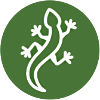 Leave no trace lizard icon