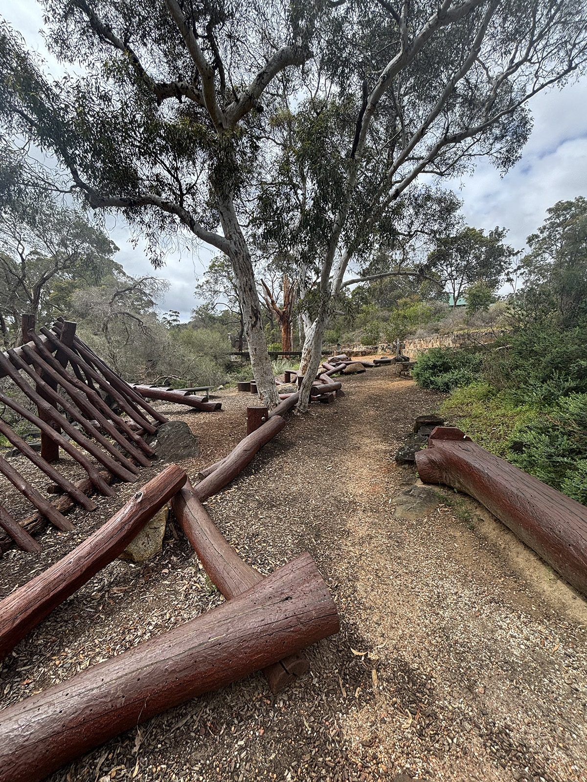 nature play John Forrest NP