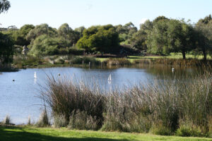 Booyeembara Park lake