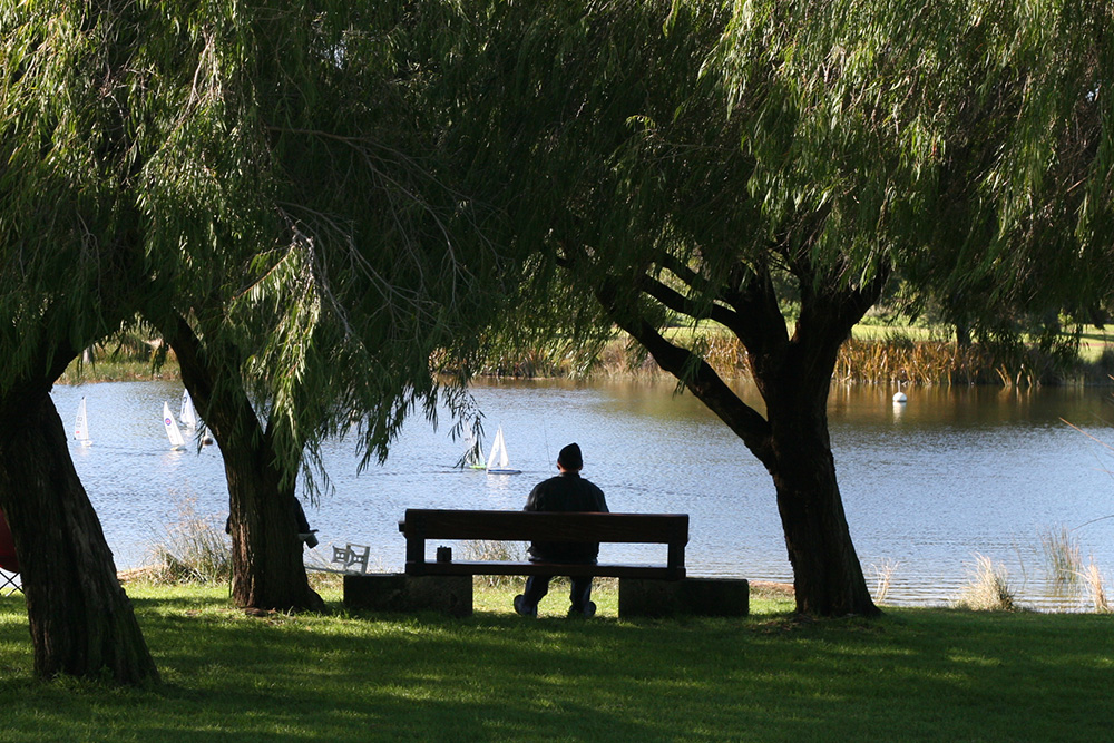 Booyeembara Park lake with boats