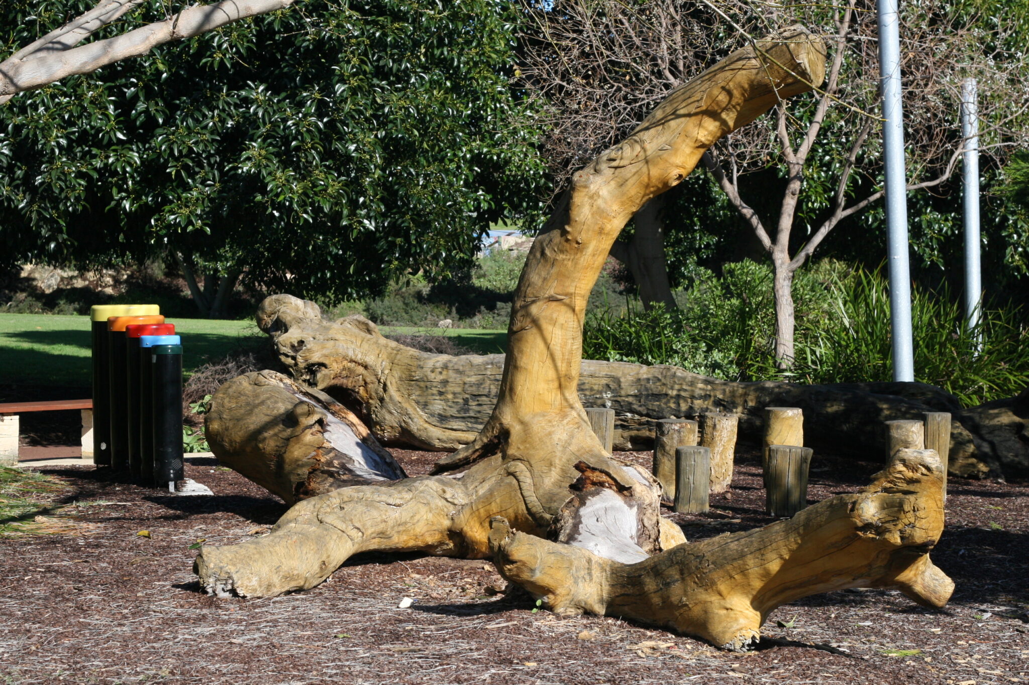 Booyeembara Park_climbing log 1