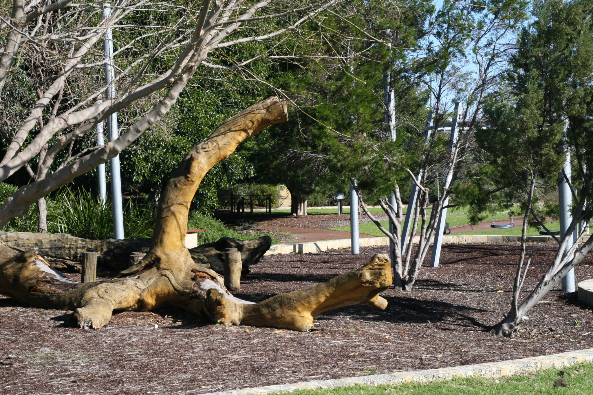 Booyeembara Park_climbing log2