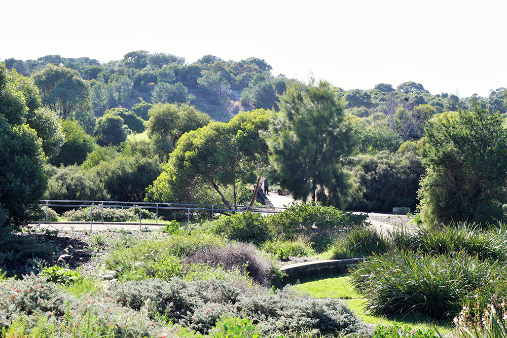 Booyeembara Park_entance vista