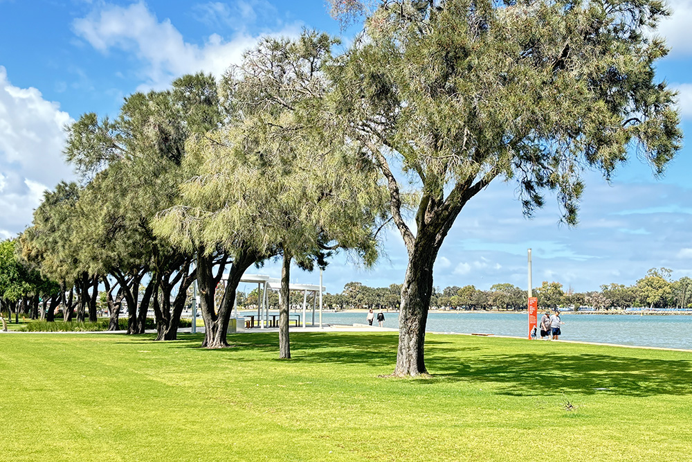 Eastern Foreshore Reserve Mandurah shaded areas