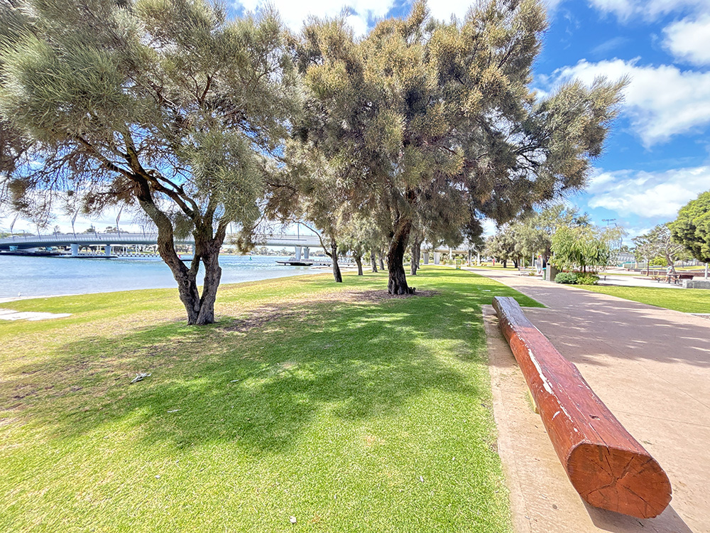 Koolaanga Waabiny Western Foreshore Mandurah walking paths