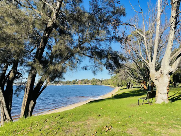 Matilda-Bay-Reserve_Water-Play_Beach-and-bench-scaled-e1688117459576