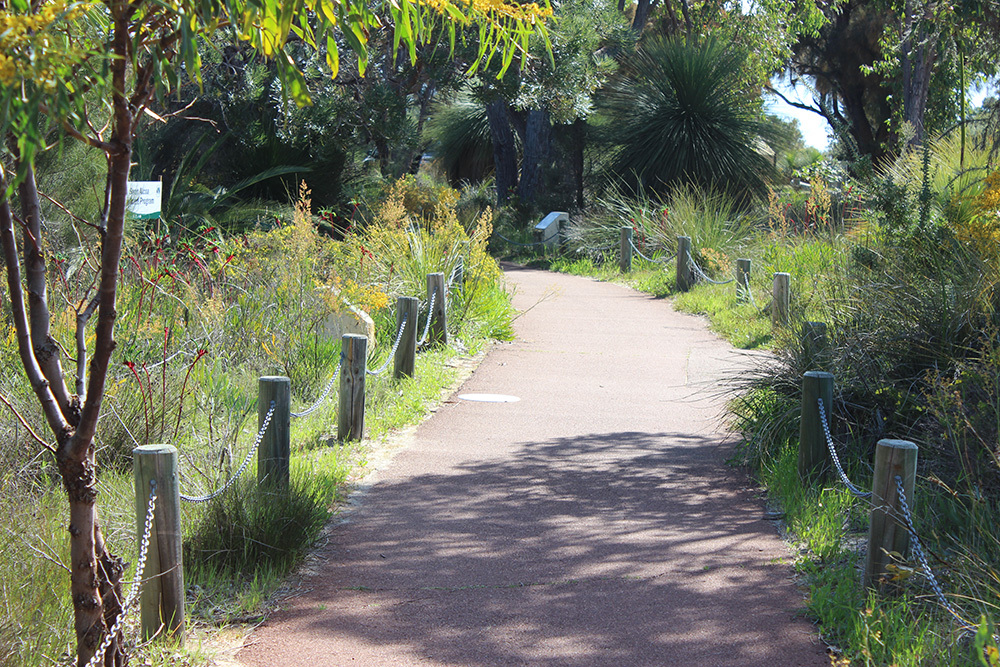 Yagan Mia Wireless Hill pathway