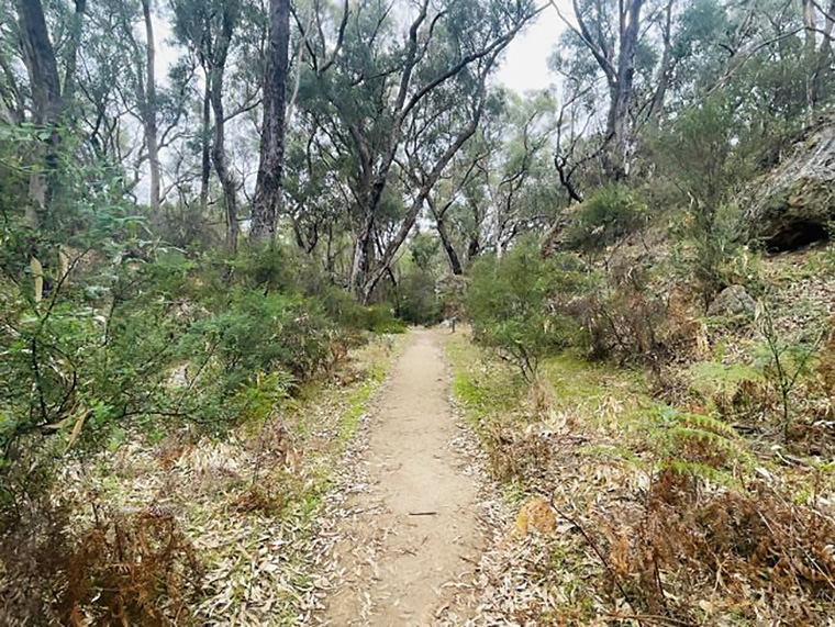 Yanchep-National-Park_Boomerang-Gorge-Dwerta-Mia-Walk-Trail_Dirt-path-2-scaled-e1653460044277