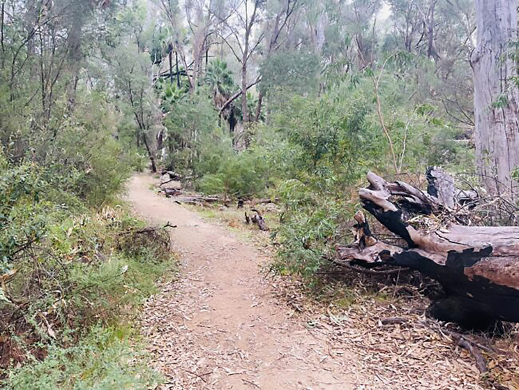 Yanchep-National-Park_Boomerang-Gorge-Dwerta-Mia-Walk-Trail_Dirt-path-scaled-e1653462659562