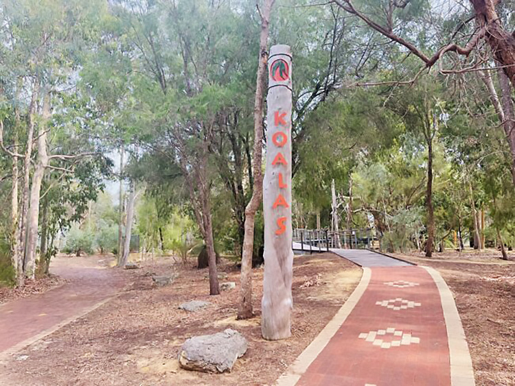 Yanchep-National-Park_Koalas-scaled-e1653462084460