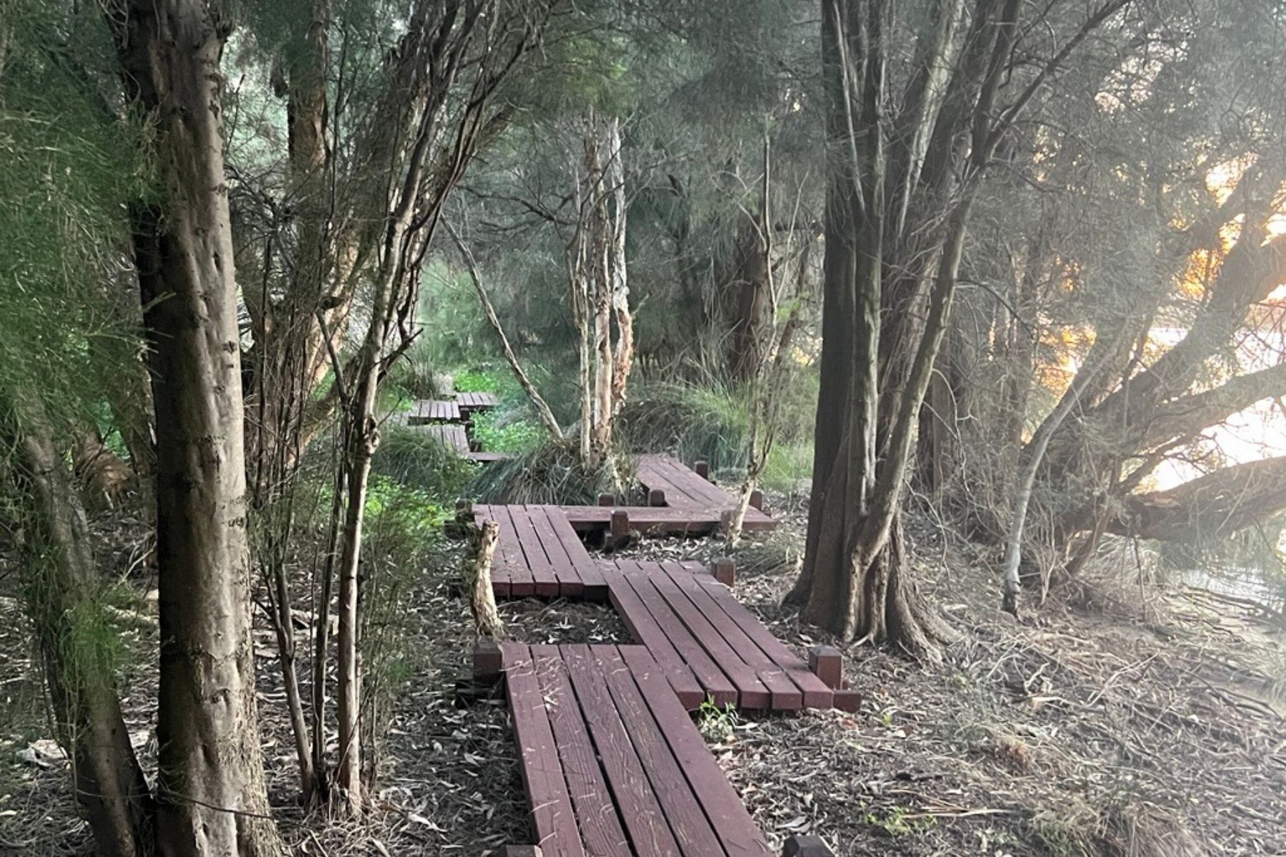 Adachi Park Boardwalk