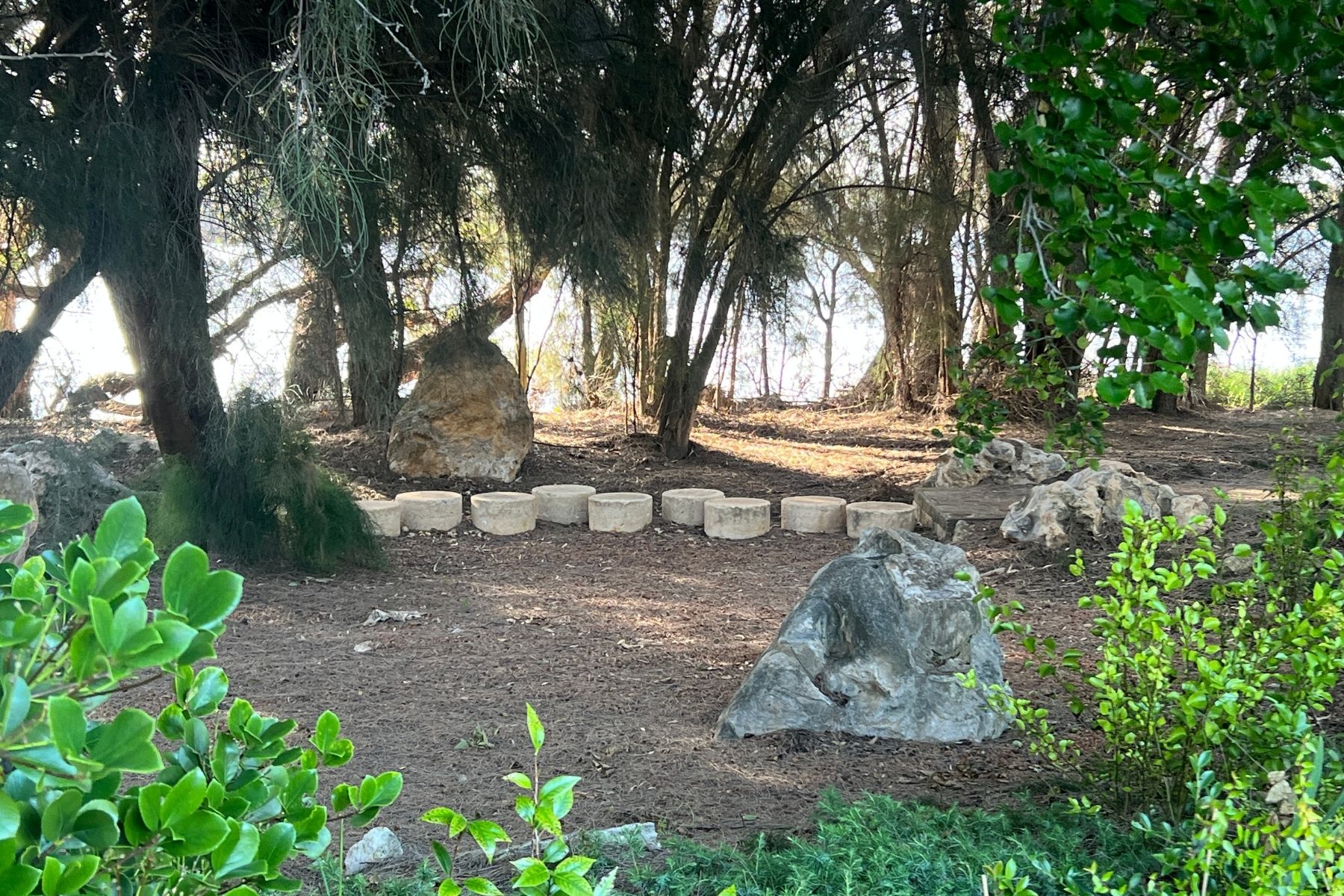 Adachi Park Nature Space