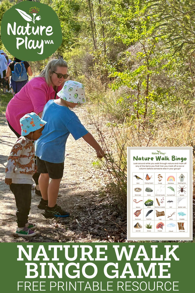 Nature Walk Bingo Game Printable