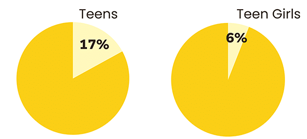 Snapshot Teen Recreational Space Use pie chart