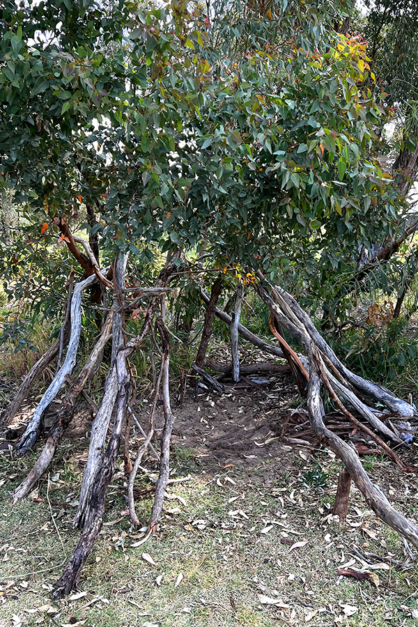 cubby building tips for kids