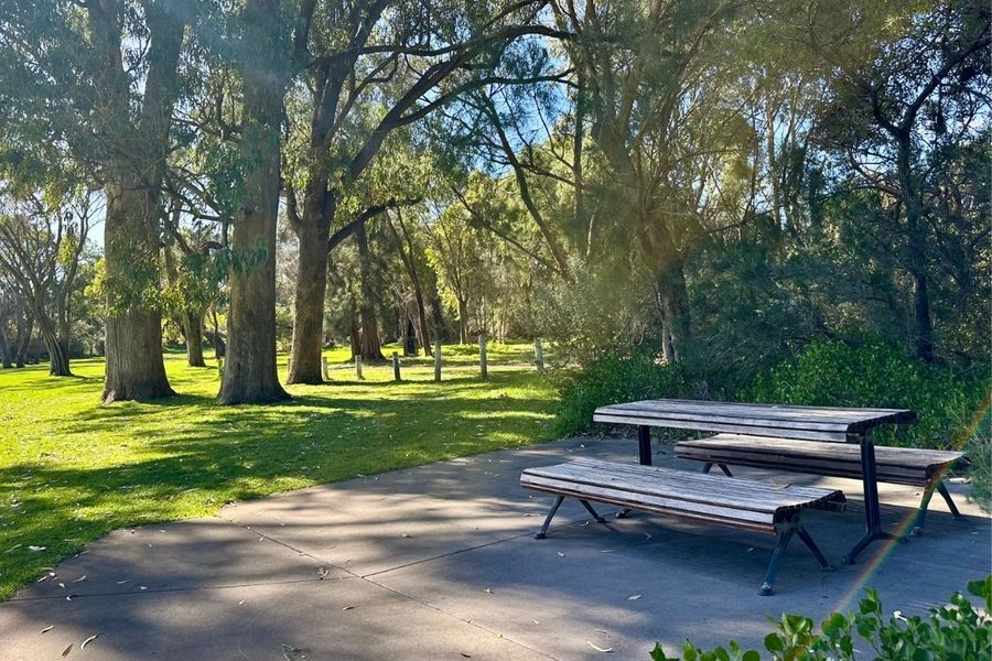 Trees and picnic nook