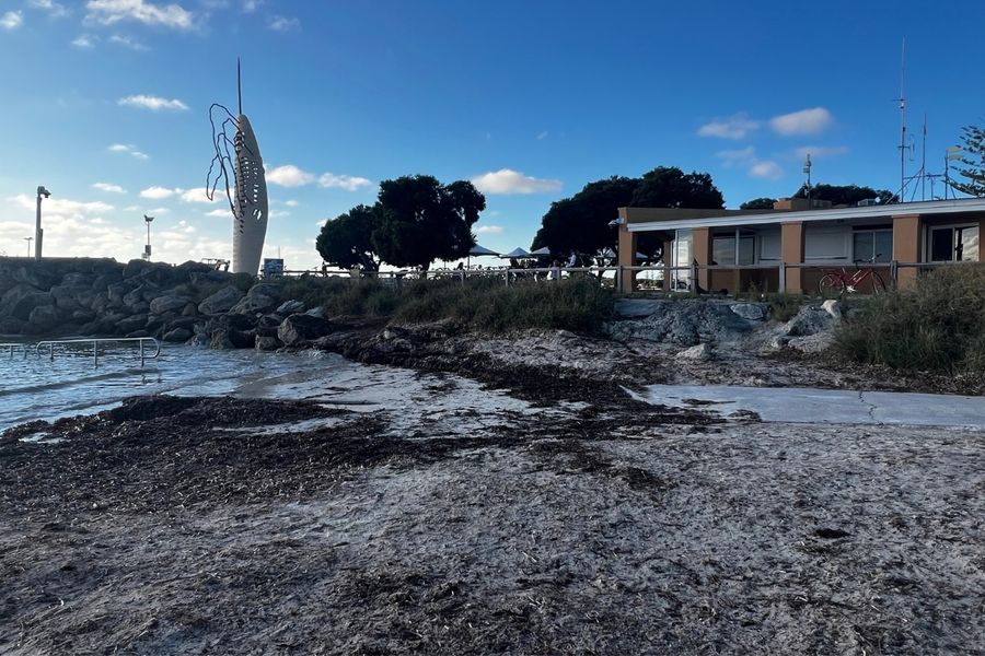 Little Thompson Bay beach and sculpture
