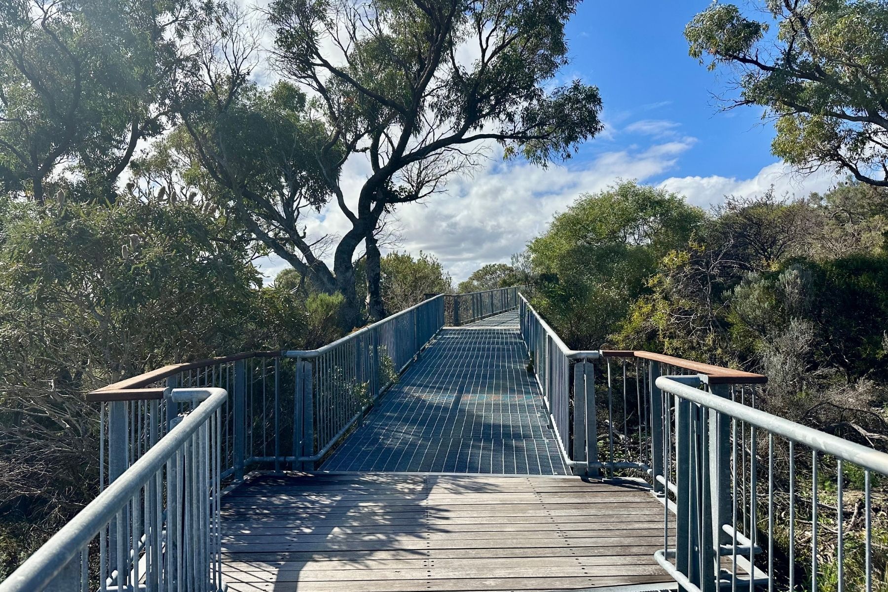 wheelchair accessible boardwalk